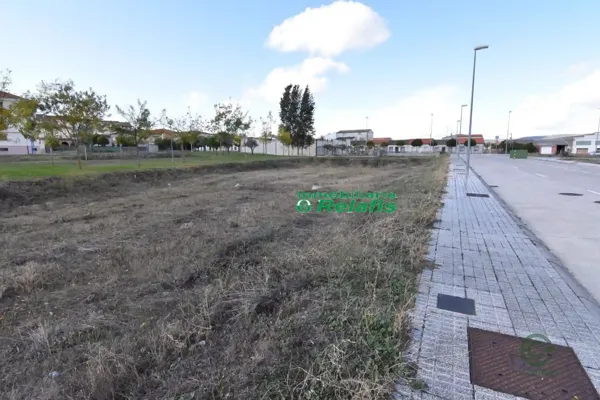 Spot image