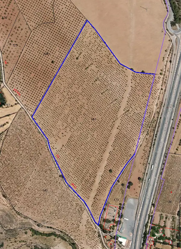 Spot image