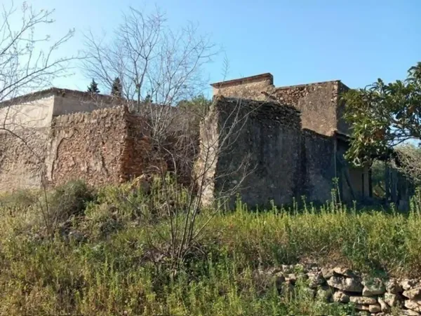 Spot image