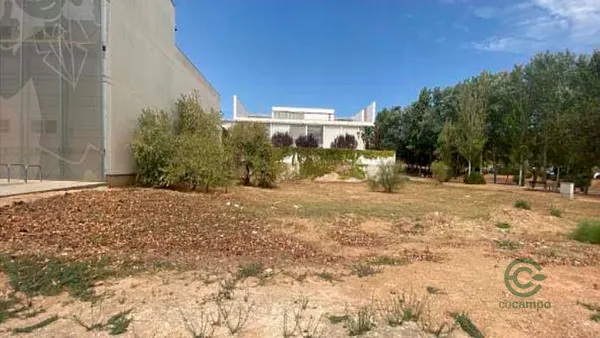 Spot image