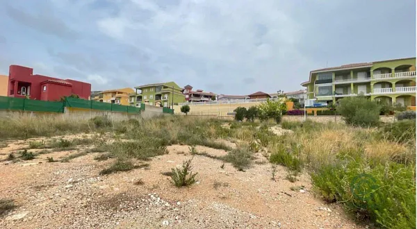 Spot image
