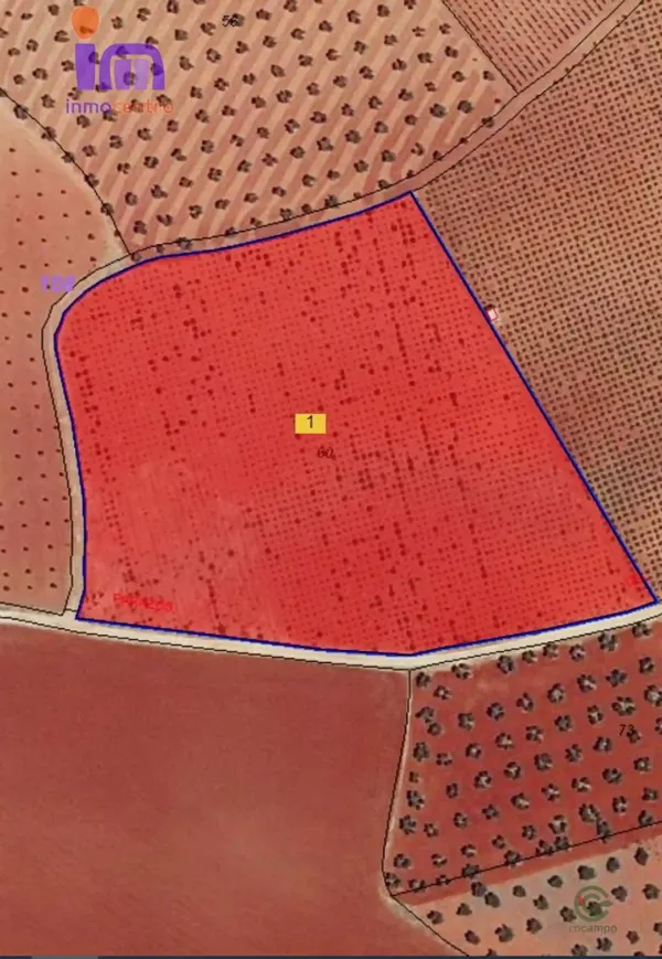 Spot image