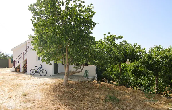 Spot image