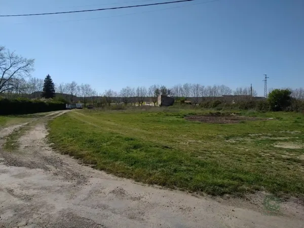 Spot image