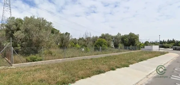 Spot image