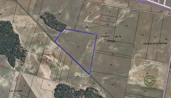 Spot image