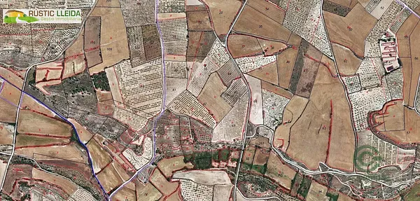 Spot image