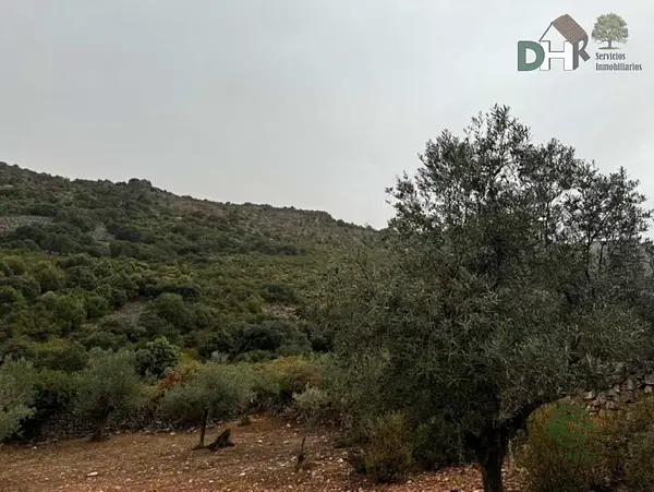 Spot image
