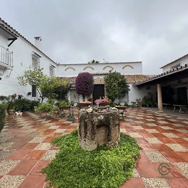 Spot image