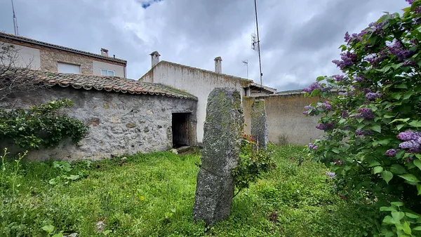 Spot image