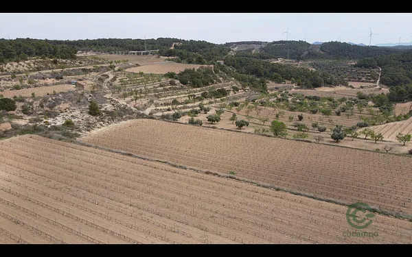 Spot image