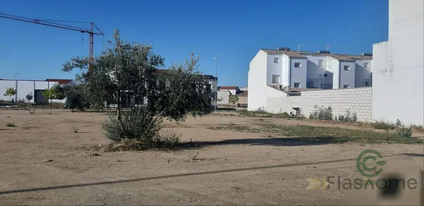 Spot image