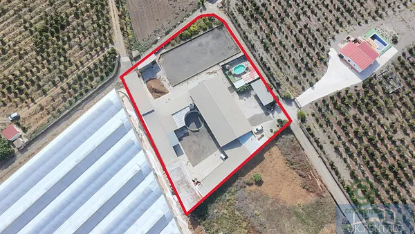 Spot image