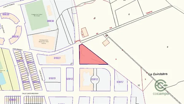 Spot image