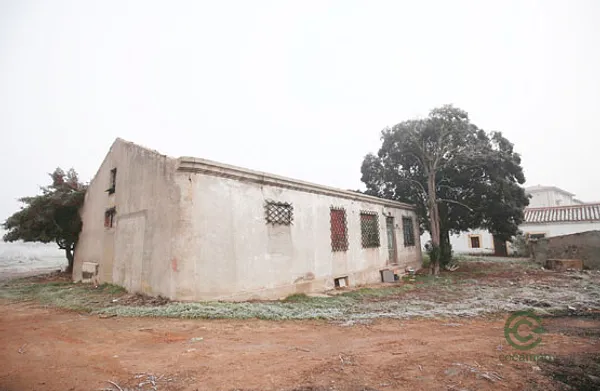 Spot image
