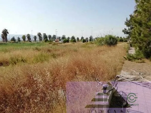 Spot image