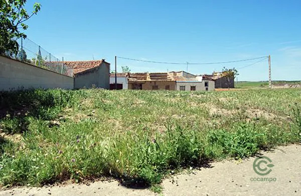 Spot image