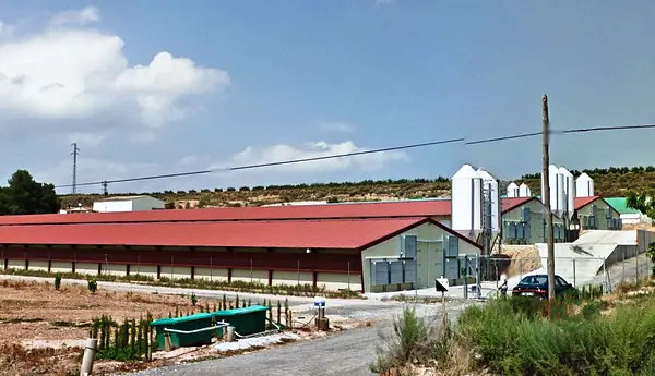 Spot image