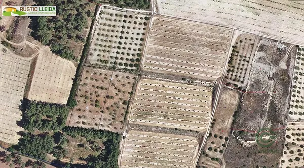 Spot image