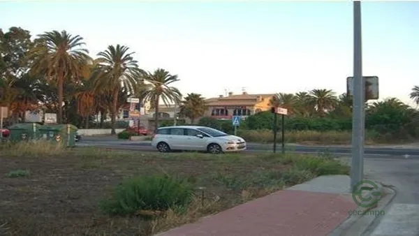 Spot image