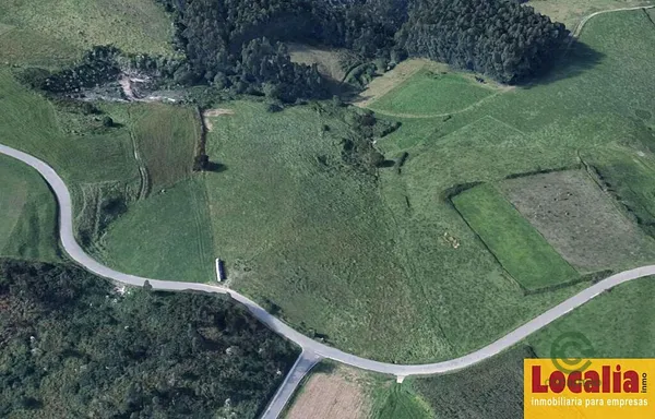 Spot image