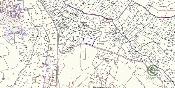 Spot image
