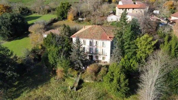 Spot image