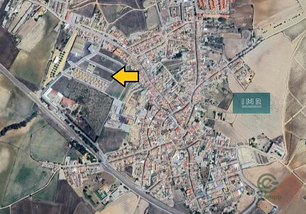 Spot image