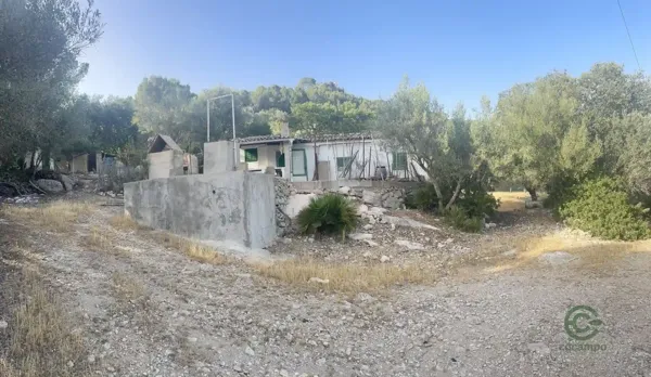 Spot image