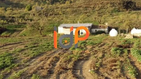 Spot image