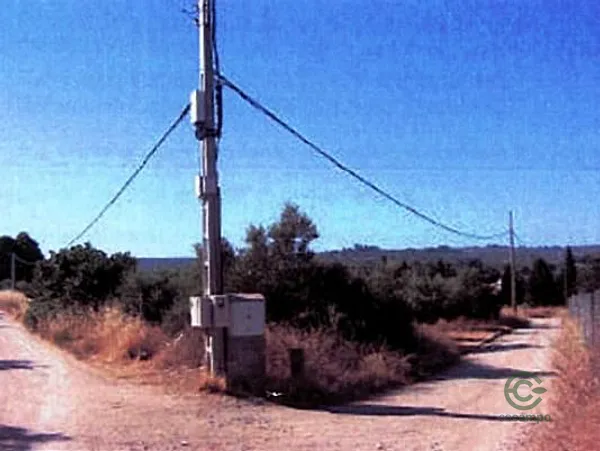 Spot image