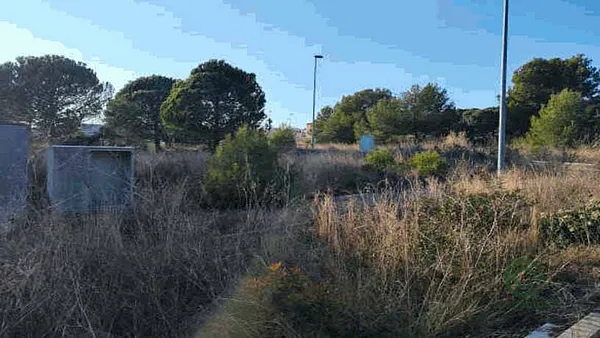 Spot image