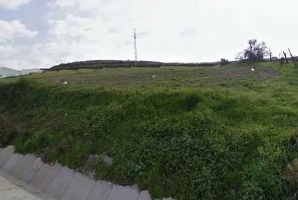 Spot image