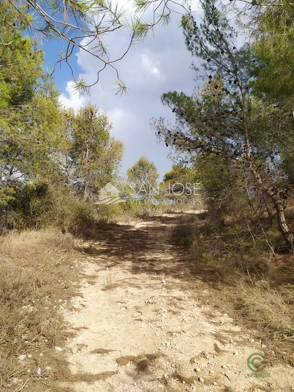 Spot image