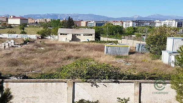Spot image