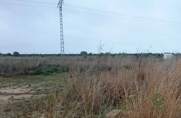 Spot image