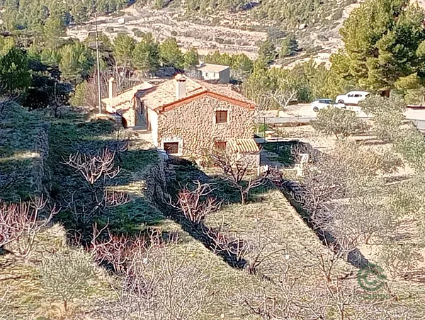 Spot image