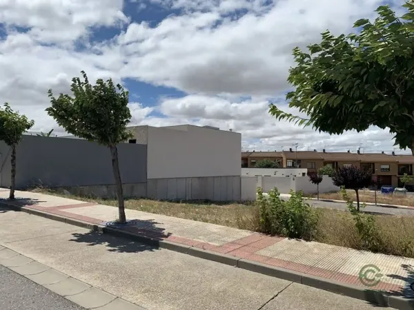 Spot image