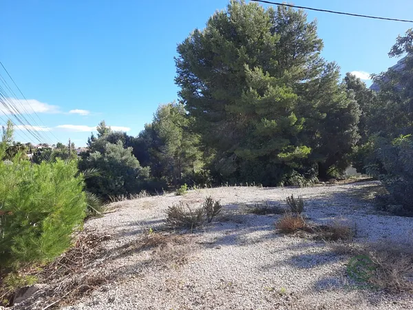 Spot image