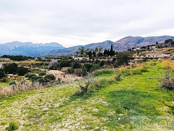 Spot image