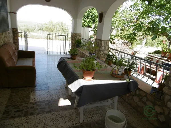Spot image