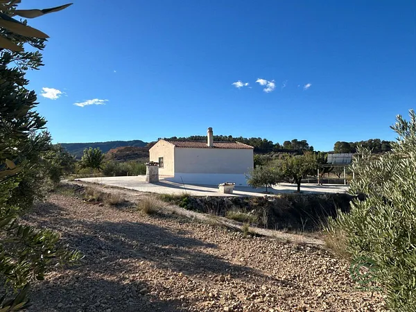 Spot image