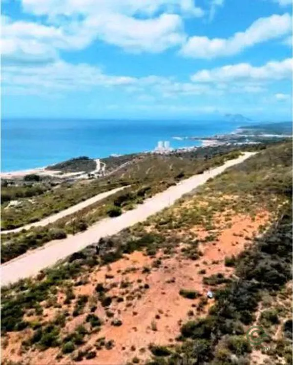 Spot image