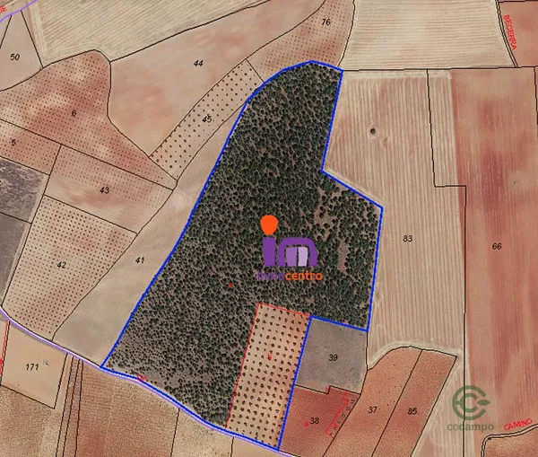 Spot image