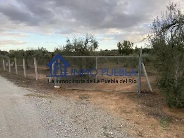 Spot image