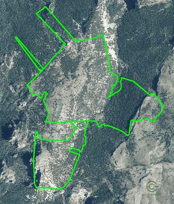Spot image