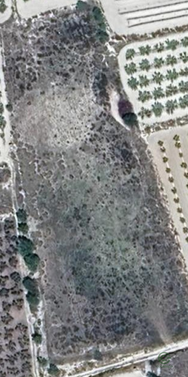Spot image