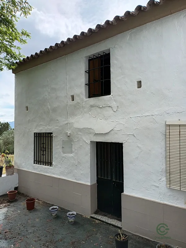 Spot image