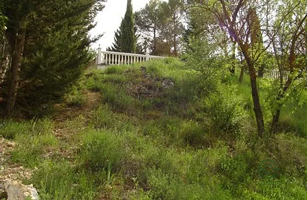 Spot image