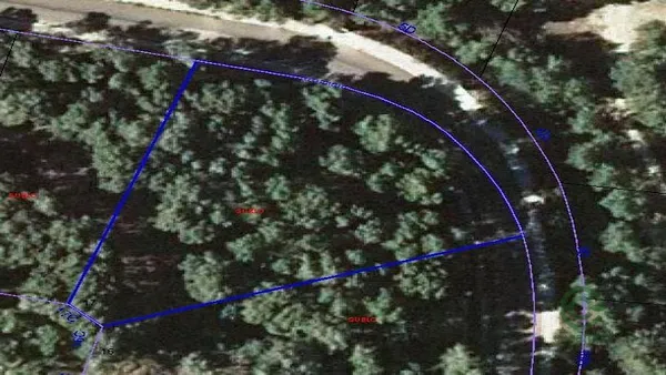 Spot image